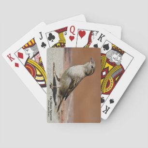 Spielkarten für Wildtiere