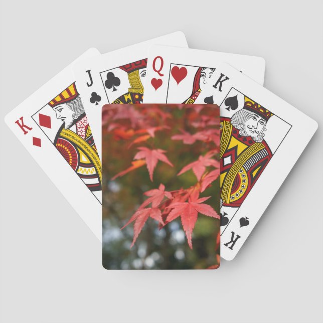 Spielkarten im Herbst (Rückseite)