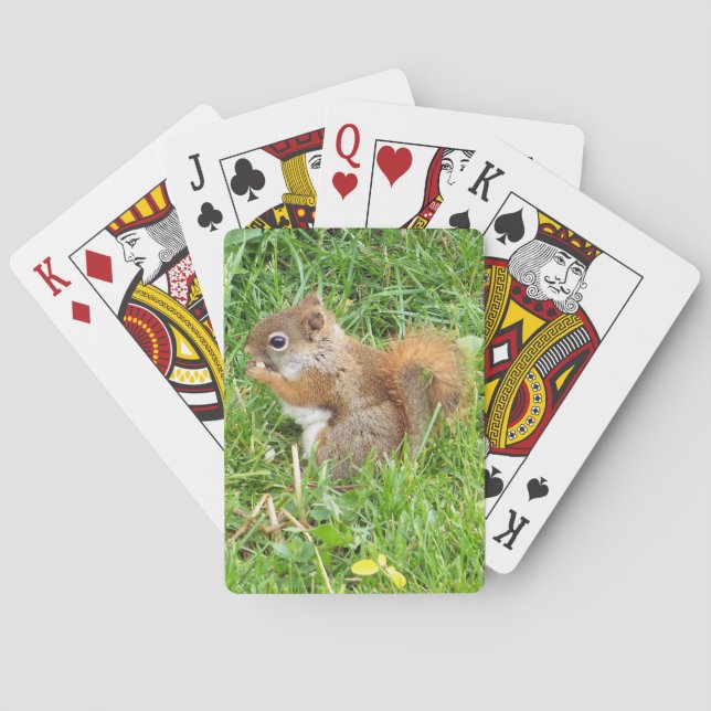 Spielkarten, rotes Eichhörnchen-Thema Spielkarten (Rückseite)