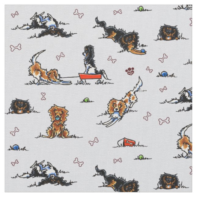 Spielplatz Cavalier CKCS Spaniels Oyster Stoff (Nahaufnahme)