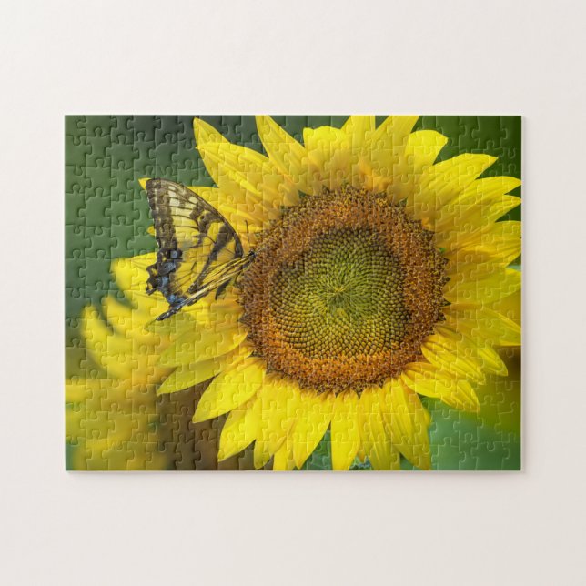 Spielpuzzle-Butterfly Sonnenblumen (Horizontal)
