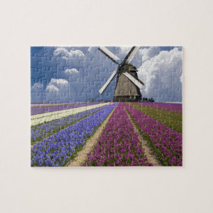 Spielpuzzle-Feld der Hyacinths