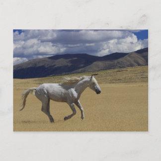 Spielraum Postkarte
