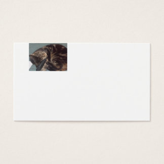 Spielvolle Dave Standard Business Cards (Packung m