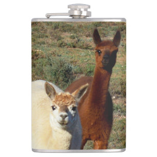 "Spielvolle Paare: junge braune und weiße Alpacas" Flachmann