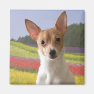 Spielzeug-Foxterrier-Magnet Magnet