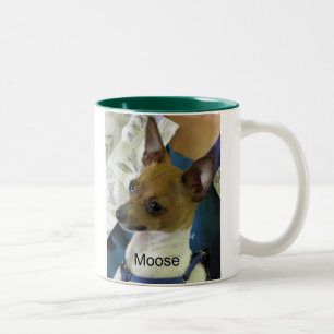 Spielzeug-Foxterrier Zweifarbige Tasse