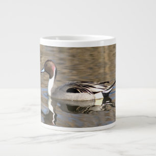 Spießente schwimmt in einem Teich Jumbo-Tasse