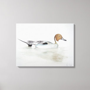 Spießenten-Ente 2011 Leinwanddruck