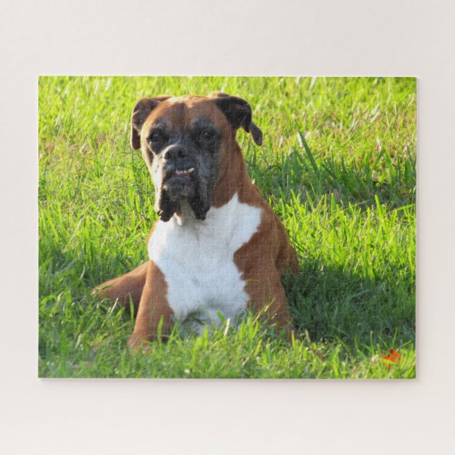 Spike the Boxer - Puzzle (Horizontal)