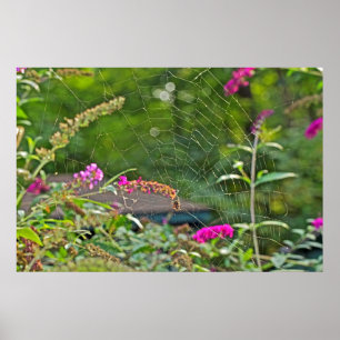 Spike Web on Butterfly Bush Poster