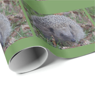 Spike Wrapping Paper Geschenkpapier