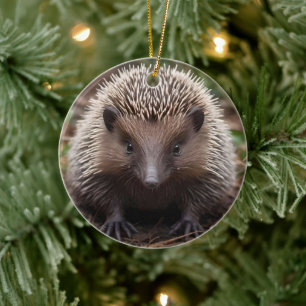 **"Spiky Beginns: The Adorable Baby Echidna"** Keramik Ornament