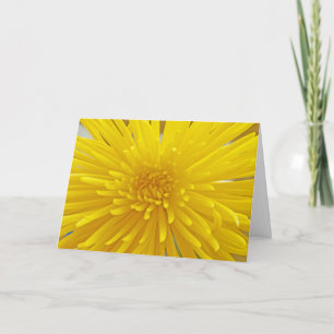 Spiky Yellow Dahlia Nah-up Fotovorlage Karte