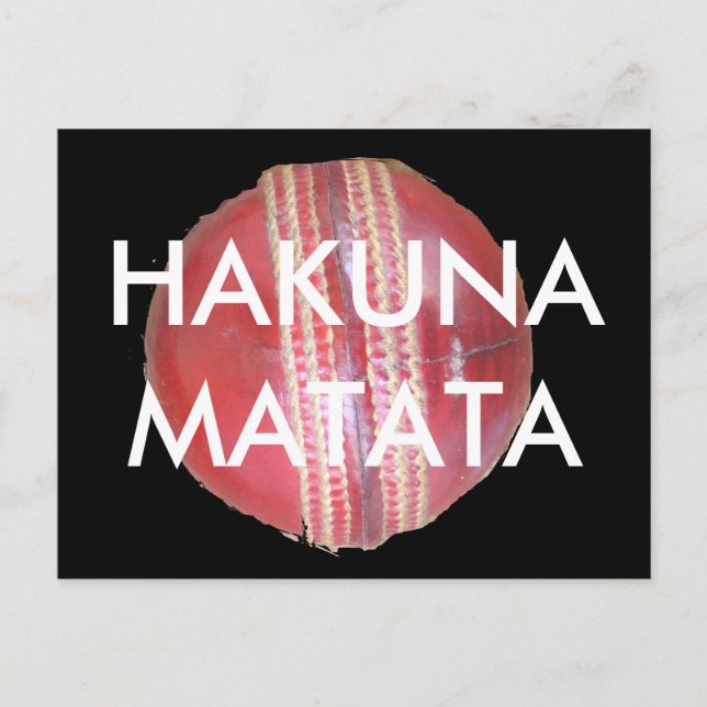 Spin Master's Sphere: Ein Spaß Verlassen Spin Cric Postkarte (Vorderseite)