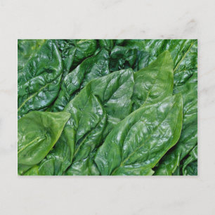 Spinach-Blätter Postkarte