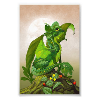 Spinach Dragon 4x6 Print Fotodruck