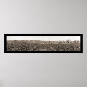 Spinach Harvest Foto 1928 Poster