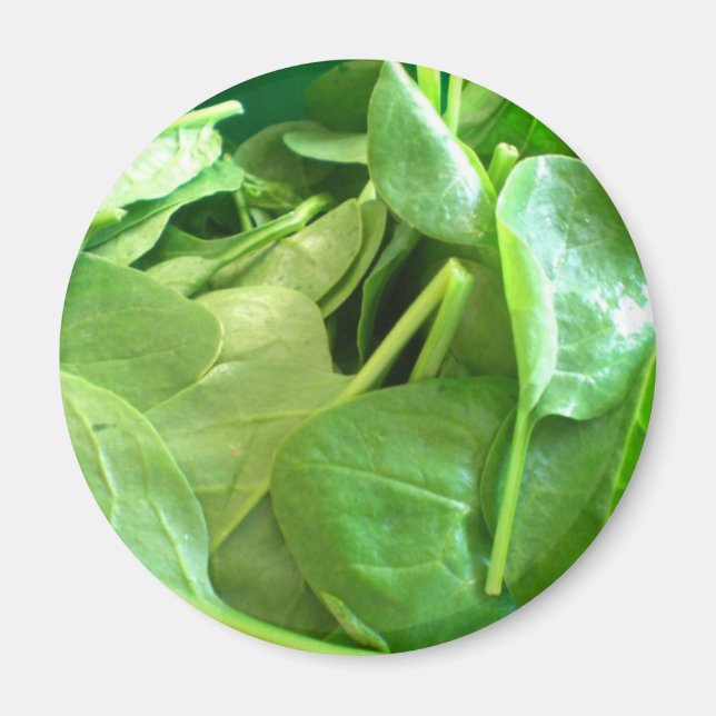 Spinach Magnet (Vorne)