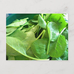 Spinach Postkarte