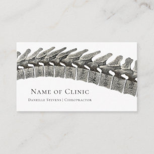 Spine Vertebrae Chiropractor Erinnerung Terminkarte