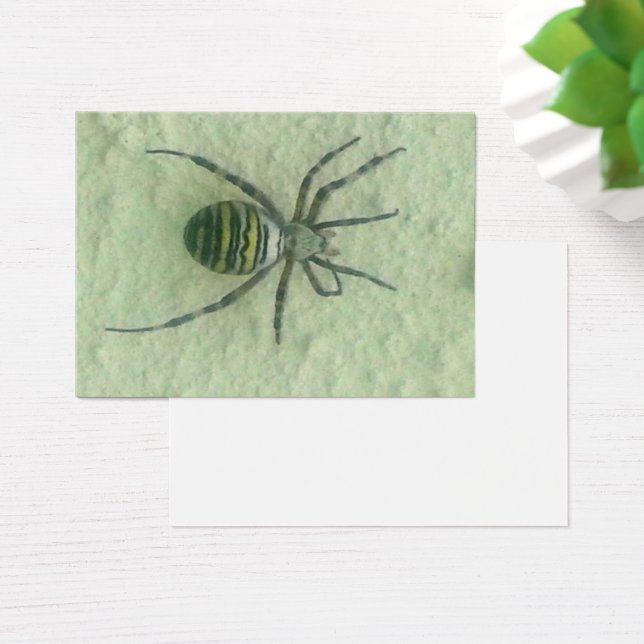 Spinne (Schreibtisch)