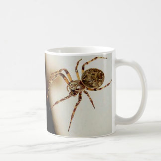 Spinne 01 kaffeetasse
