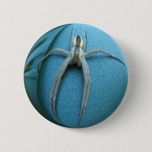 Spinne 164 ~ Knopf Button
