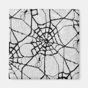 Spinne 1 magnet