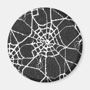 Spinne 2 magnet