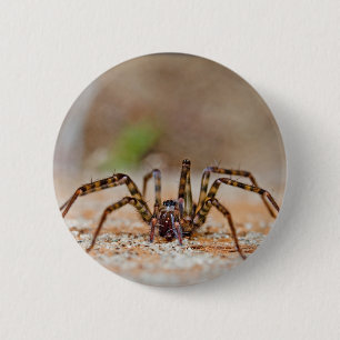 Spinne a button