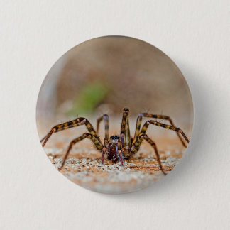 Spinne a button