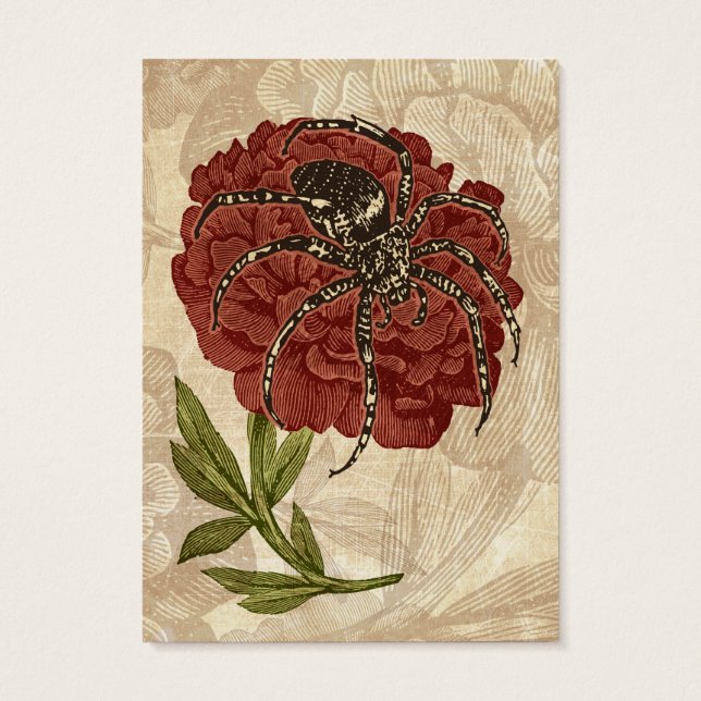 Spinne auf Blume (Rückseite)