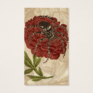 Spinne auf Blume