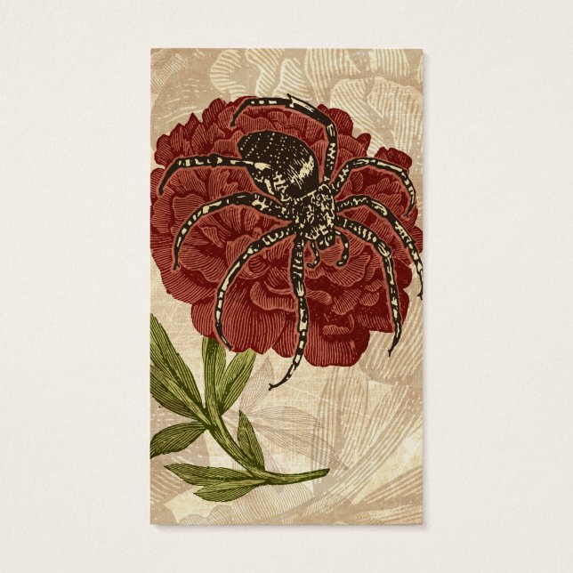 Spinne auf Blume (Rückseite)