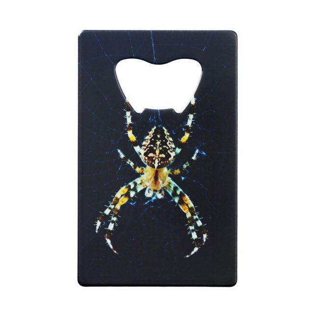 Spinne bocna geldbeutel flaschenöffner (Vorderseite)