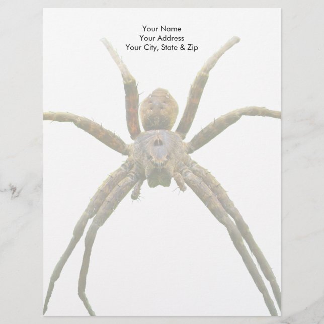 Spinne Briefbogen (Vorderseite)
