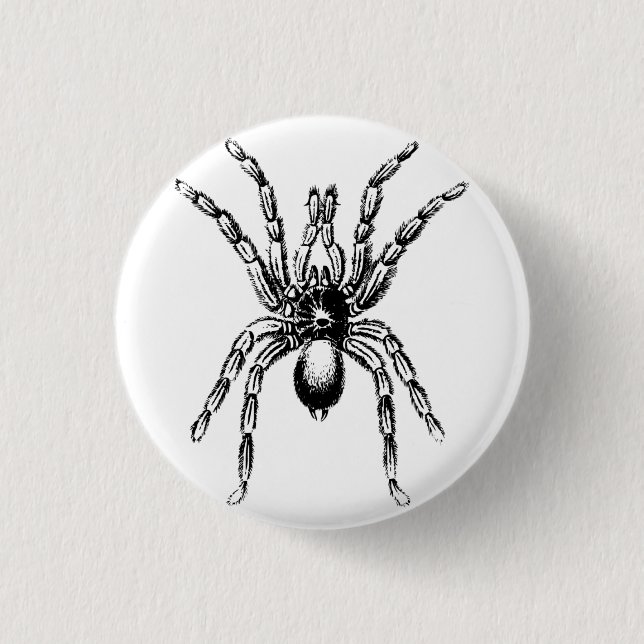 Spinne Button (Vorderseite)