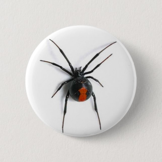 Spinne Button (Vorderseite)