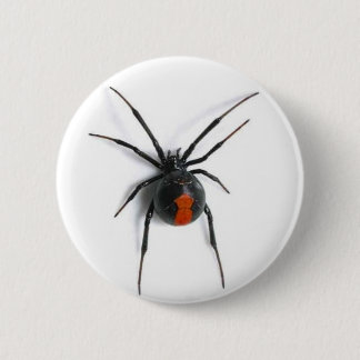 Spinne Button