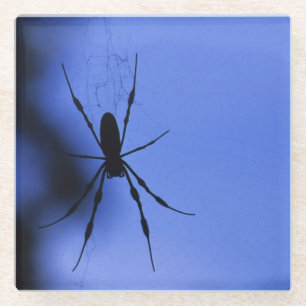 Spinne Glasuntersetzer