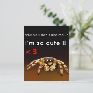 Spinne ich bin so Niedlich Spider Lover Geschenk
