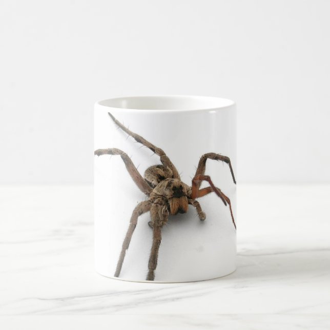 Spinne Kaffeetasse (Mittel)