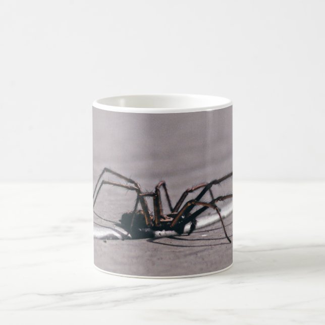 Spinne Kaffeetasse (Mittel)