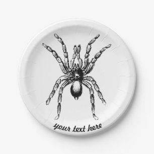 Spinne Pappteller