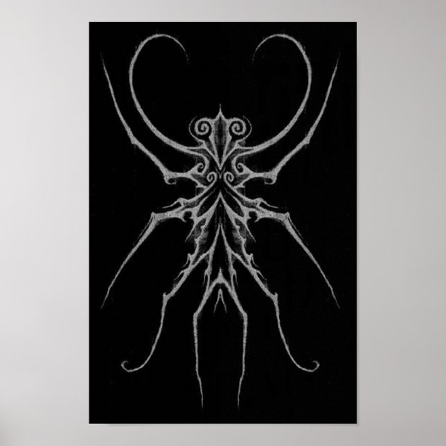 Spinne Poster (Vorne)