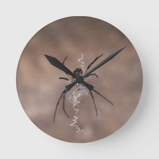 Spinne Rund Wanduhr (Vorderseite)
