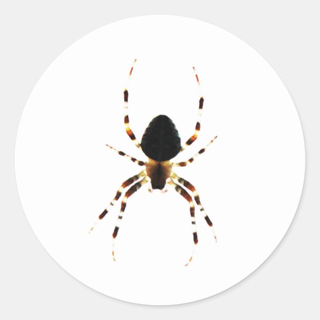 Spinne st arc3 runder aufkleber (Vorderseite)