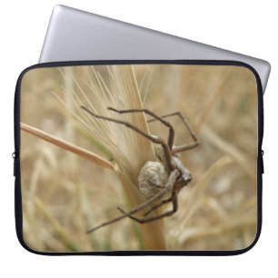 Spinne und Eierkocher Laptopschutzhülle