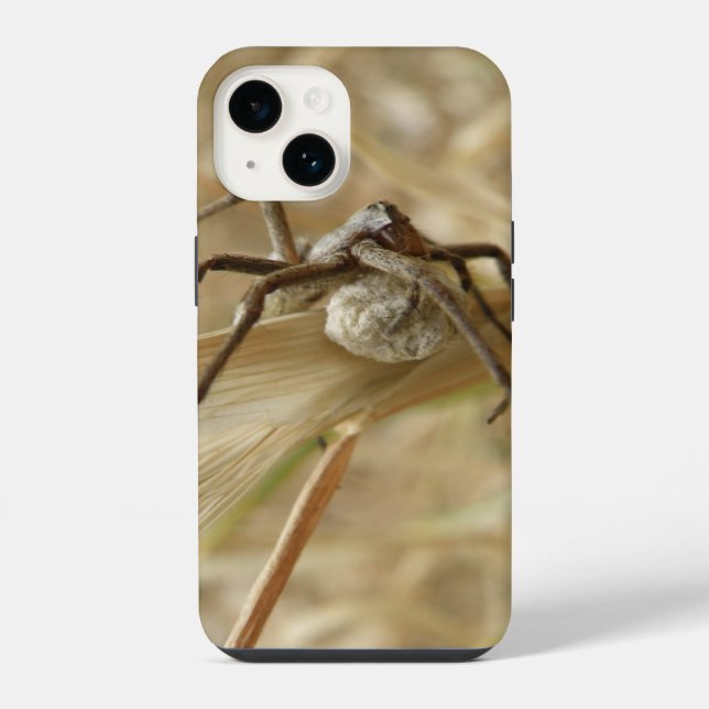 Spinne und Eiersack iPhone Hülle (Rückseite)
